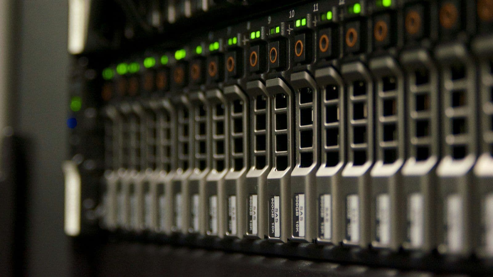 Server drive bays with status lights
