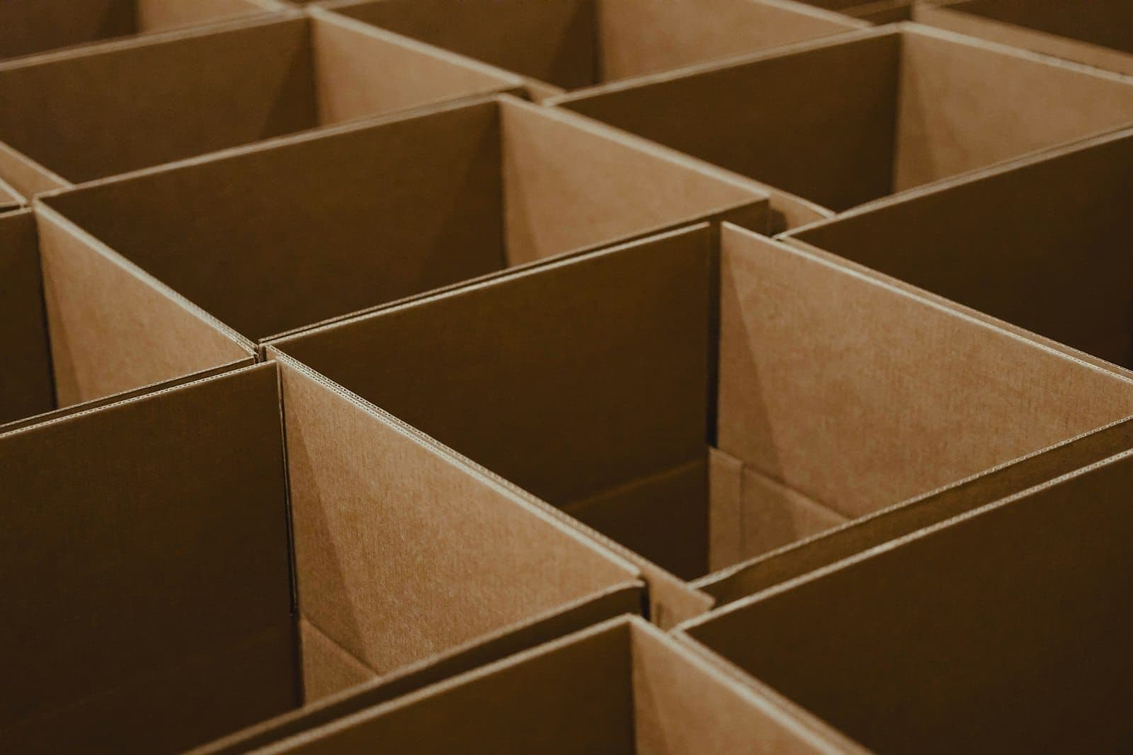 Rows of empty cardboard dividers seen from above
